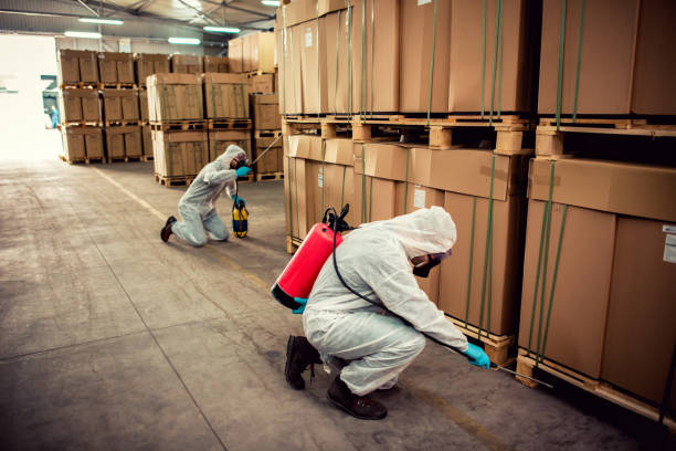 Best Exterminator Services  in Kingsburg, CA