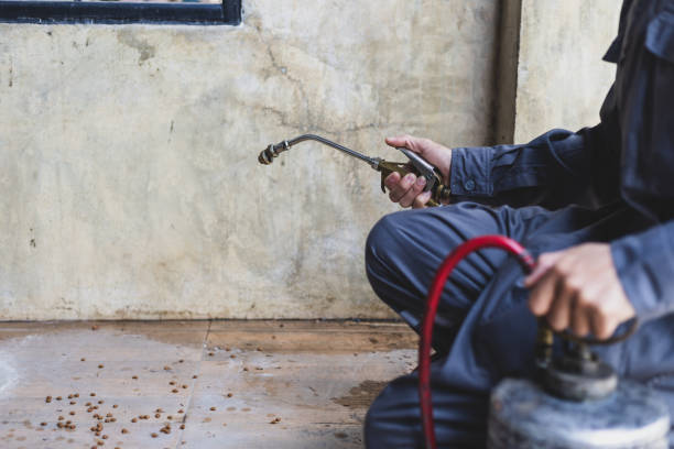 Best Ant Control Services  in Kingsburg, CA